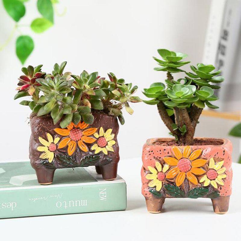 Korean Style Succulent Plant P - огляд і ціна Korean Desk Setup